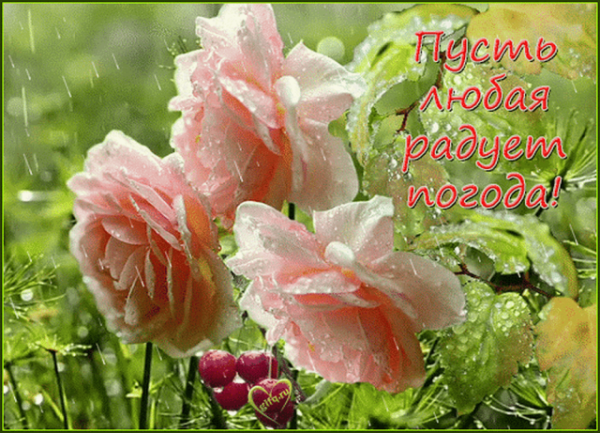 Хорошего настроения в любую погоду