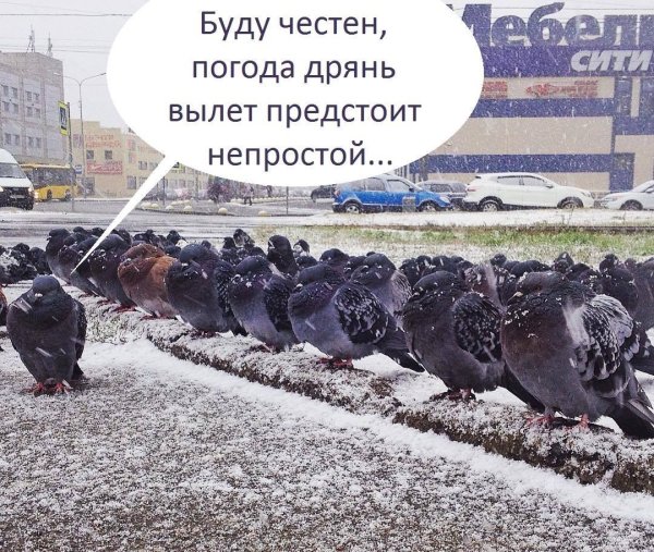 Коротко о погоде юмор