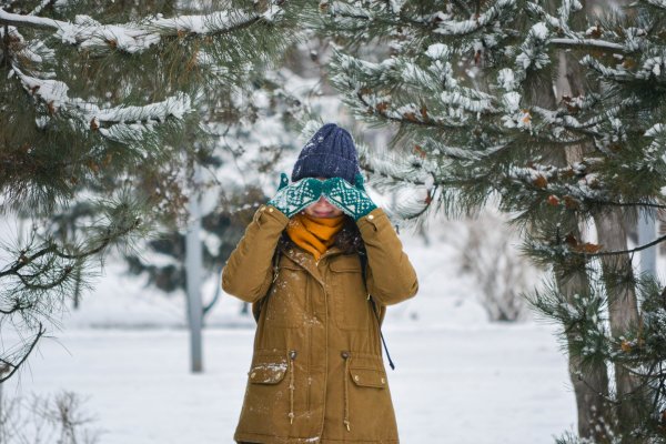 Человек в зимнем лесу