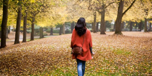 Осень девушка со спины