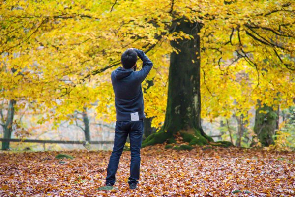 Человек в осеннем лесу