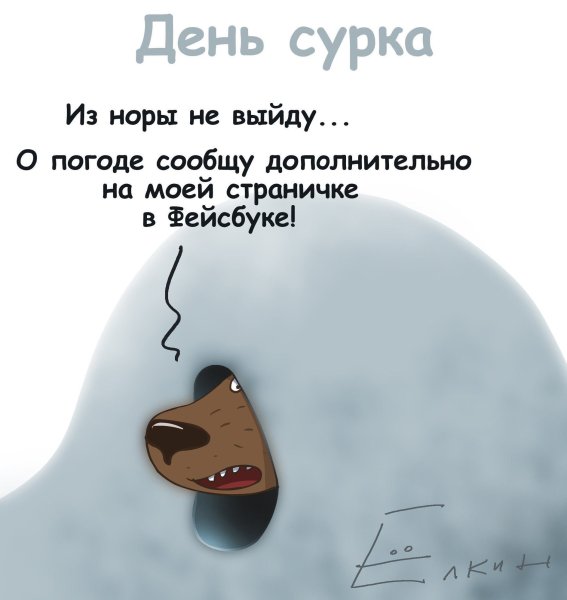 2 Февраля день сурка