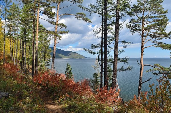 Прибайкальский нац парк