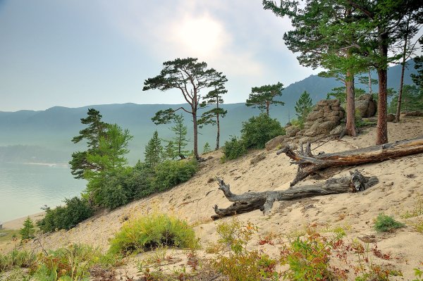 Бухта Кедровая на Байкале