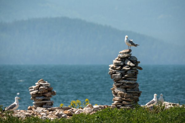 Забайкальский нац парк