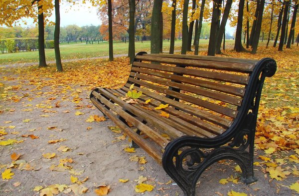 Шишкин скамейка в аллее