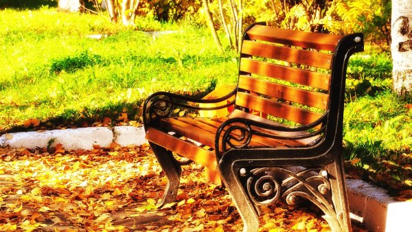 Красивые лавочки в парке