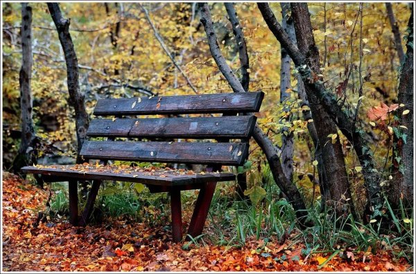Осень скамейка