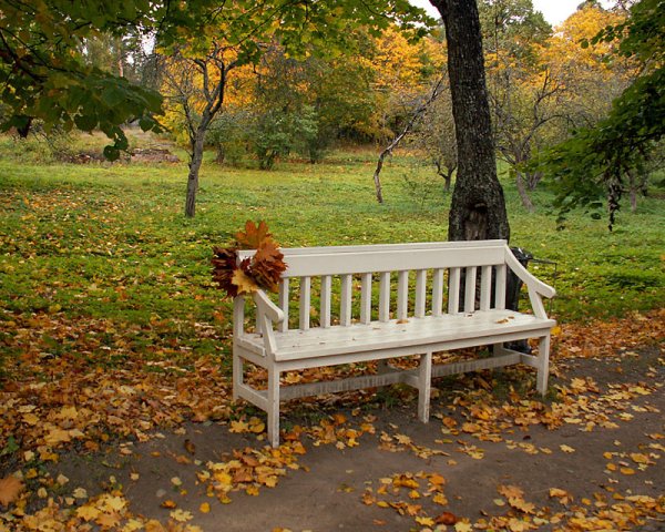 Скамейка осенью