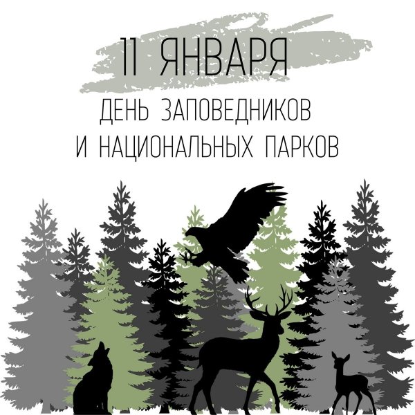 11 Января день заповедников и национальных парков