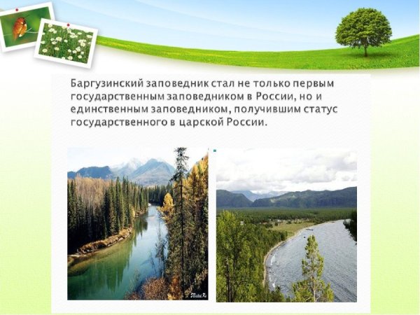 Всероссийский день заповедников и парков