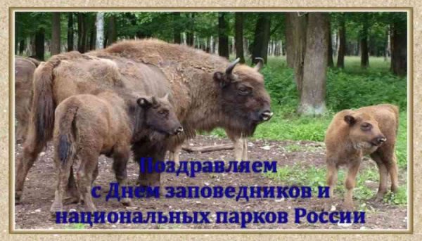 Открытки с днем заповедников и национальных парков