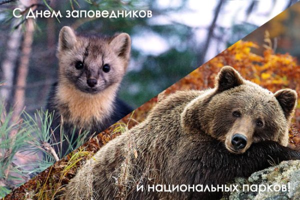 11 Января день заповедников и национальных парков России