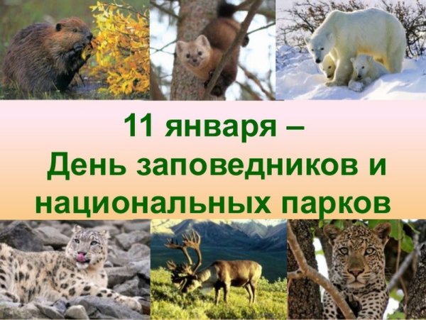 11 Января день заповедников день заповедников и национальных парков