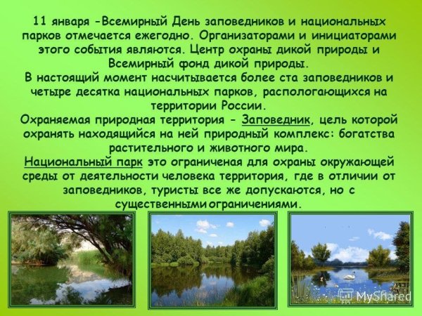 11 Января праздники в России день заповедников и национальных парков