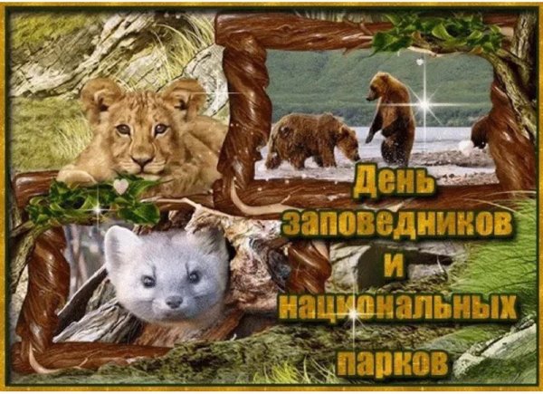 Всемирный день заповедников и национальных