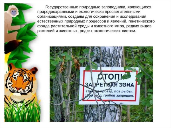 День национальных парков