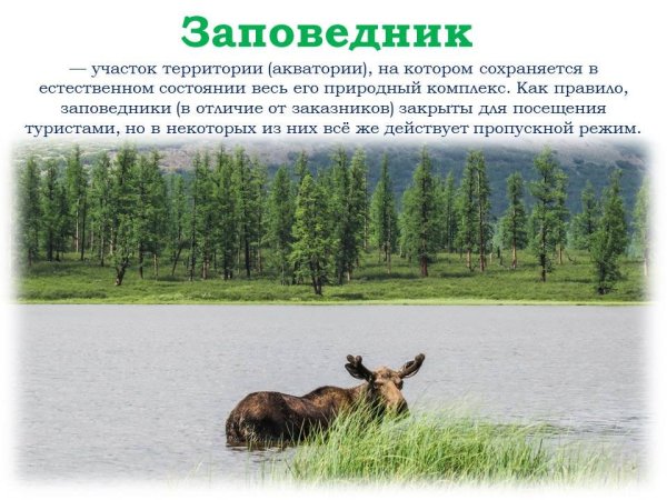 Путеводитель по заповедникам России