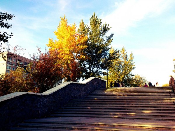 Парк ОДОРА Чита