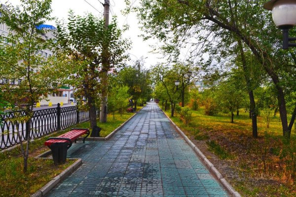 Чита город природа