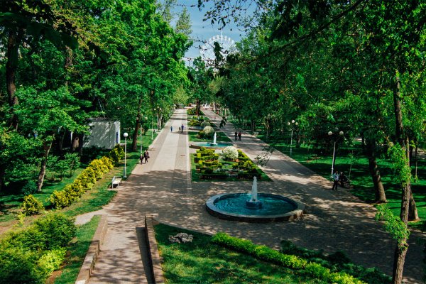 Парк Чистяковская роща