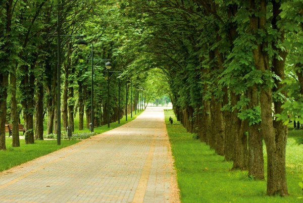 Ботанический сад им и.с Косенко Краснодар