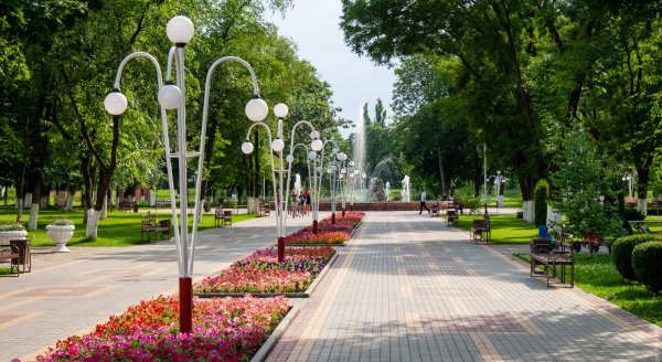 Новокубанск Краснодарский край