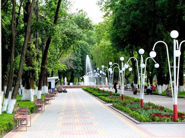 Парк Новокубанск Новокубанский культуры