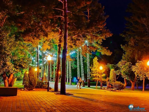 Аллея сосен горячий ключ