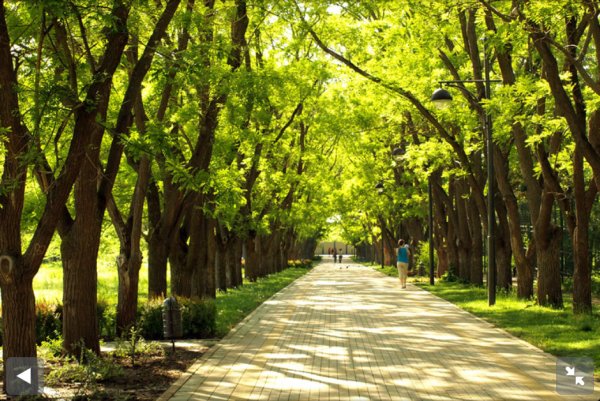 Парк Дендрарий Краснодар