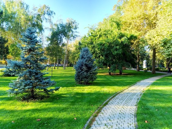 Краснодарский край парк