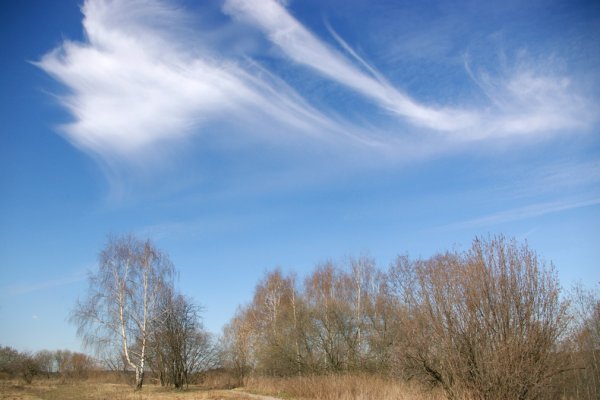 Ясное Весеннее небо