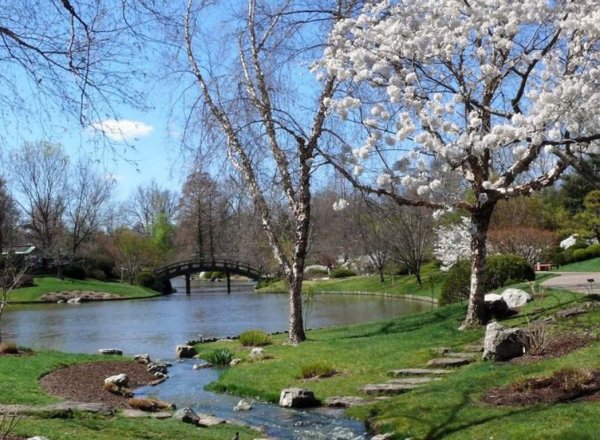 Весна в раннем мае