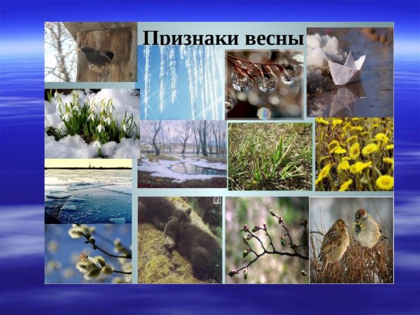 Признаки весны