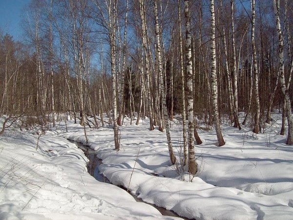 Весна деревня апрель проталины