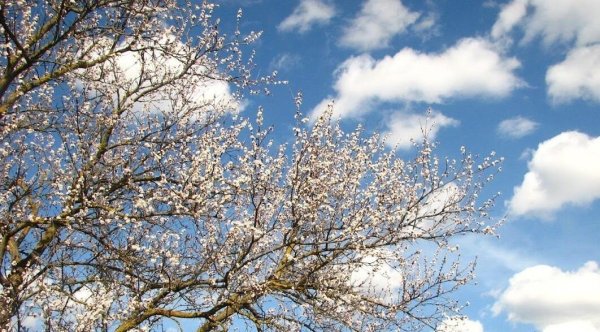 Весеннее небо