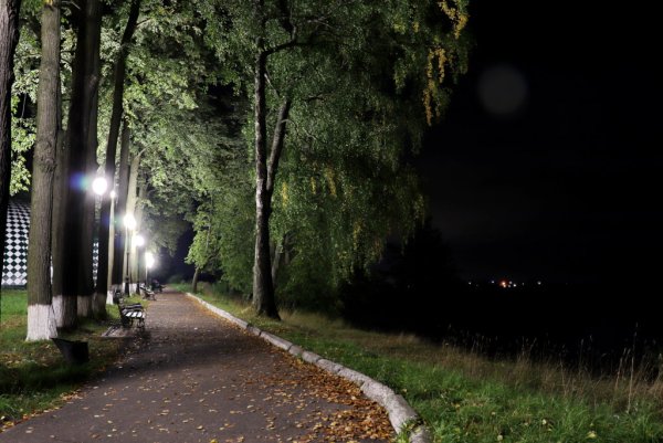 Городской парк Шуя аллеи
