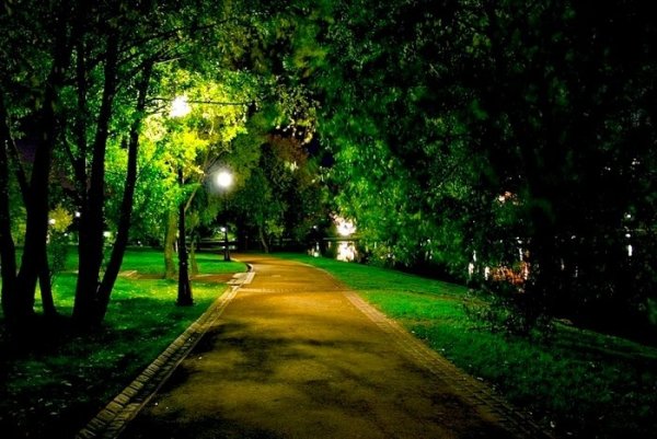 Ночной парк летом