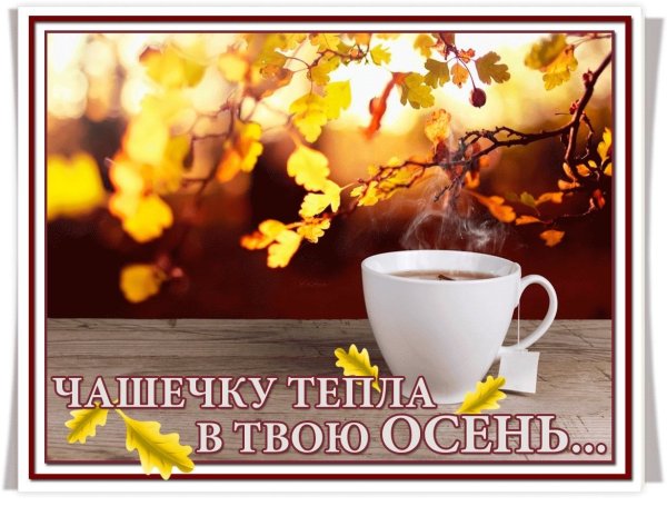 Душевного тепла в осенний день