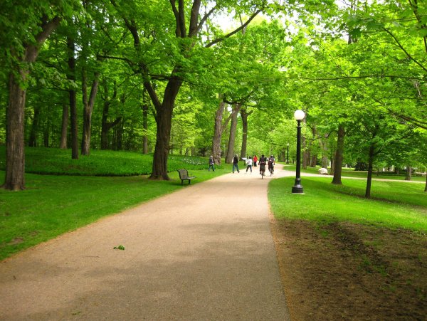 Дорожки в парках