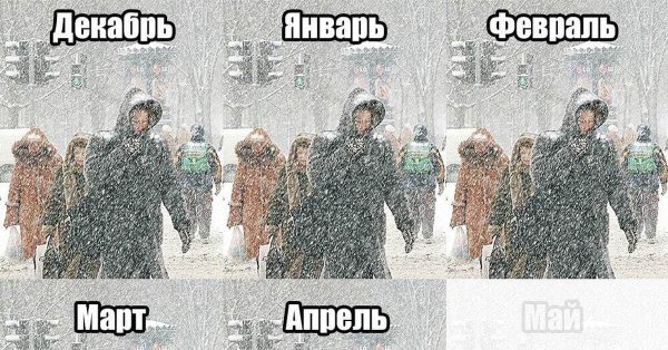 Мемы 2022 смешные с надписями