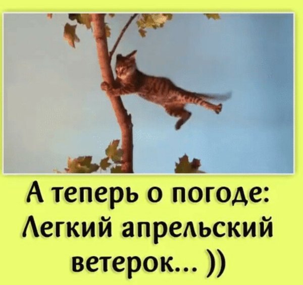 А теперь о погоде легкий апрельский ветерок