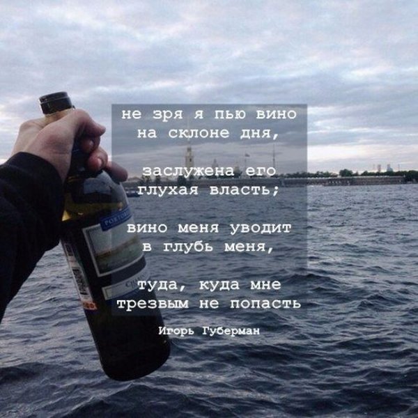 Прикольные высказывания про вино