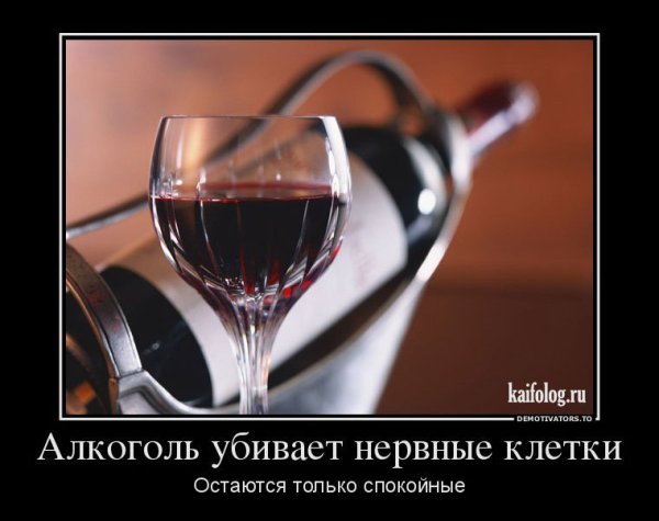 Приколы про вино