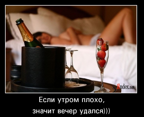 Шампанское демотиватор