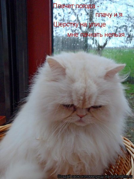 Погода плачет вместе со мной