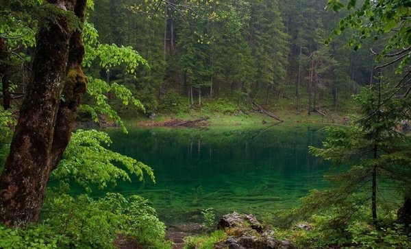 Хадыженское Лесное озеро