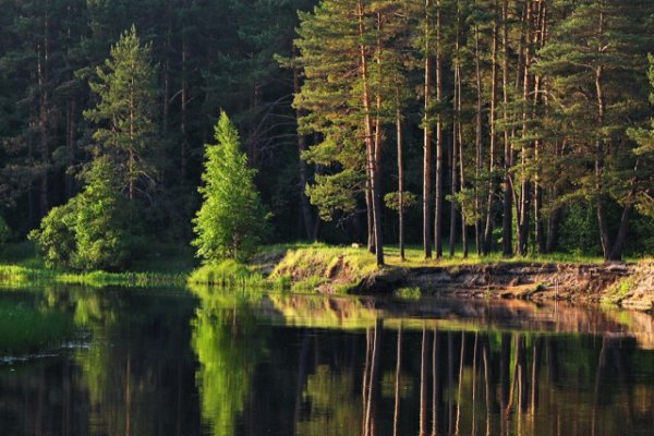 Парк Мещера во Владимирской области