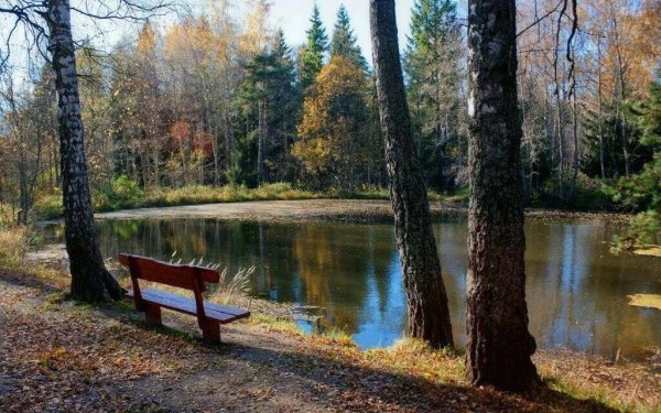 Лесопарк озеро Лесное
