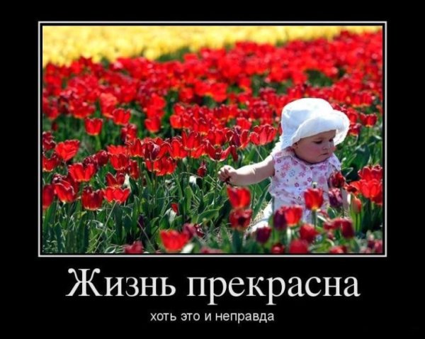 Жизнь прекрасна